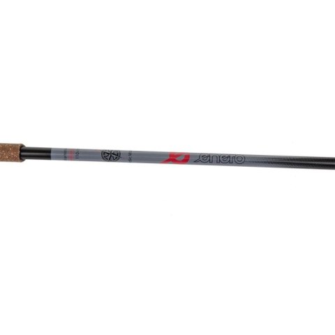 KIJE NORDIC WALKING 1-SEKWENCYJNE 110CM ENERO Enero