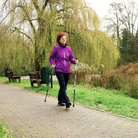 KIJE NORDIC WALKING BEST SPORTING 2-SEKWENCJE CZARNE BEST SPORTING
