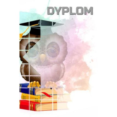 Dyplom papierowy - sowa (25 szt.) DYP157 Tryumf
