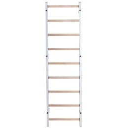 DRABINKA GIMNASTYCZNA DREWNIANO METALOWA BENCHK 700W Benchk