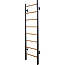 DRABINKA GIMNASTYCZNA DREWNIANO METALOWA NA 4 UCHWYTY BENCHK 200B Benchk