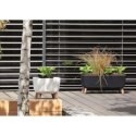 DONICZKA GRACIA SQUARE 29x29CM ANTRACYT Prosperplast
