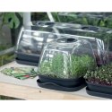 SZKLARNIA 3,6 L RESPANA TABLE GREENHOUSE 2 ANTRACYT Prosperplast