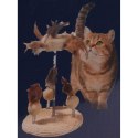 ZABAWKA DLA KOTA PIÓRKA NA SPRĘŻYNACH NA PODSTAWIE DRAPAK 14X33CM CATS COLLECTION