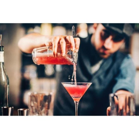 ZESTAW BARMAŃSKI 5 ELEMENTÓW SHAKER DO DRINKÓW SZCZYPCE ALPINA Alpina