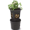 DONICZKA DO SADZENIA ZIEMNIAKÓW ŚR 39,2CM Prosperplast