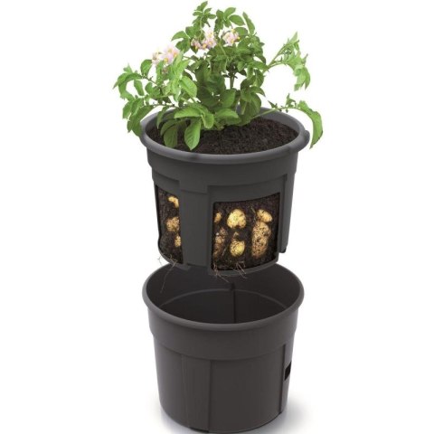 DONICZKA DO SADZENIA ZIEMNIAKÓW ŚR 39,2CM Prosperplast