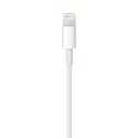 Apple Lightning to USB Cable (1m) Apple
