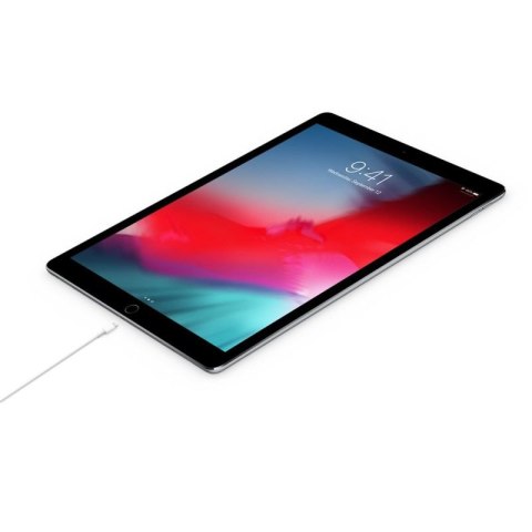 Apple USB-C to Lightning Cable (2 m) Apple