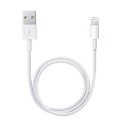 Lightning to USB Cable (0.5 m) Apple