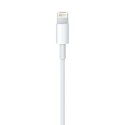 Lightning to USB Cable (0.5 m) Apple