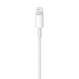 Lightning to USB Cable (0.5 m) Apple