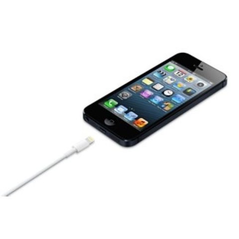 Lightning to USB Cable (0.5 m) Apple