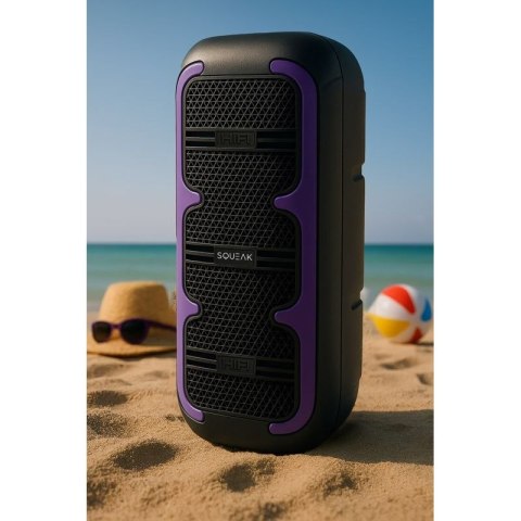SQUEAK GŁOŚNIK KARAOKE BEATONE BLUETOOTH 5.3, 45W RADIO FM, MICROSD, AUX, USB, USB-C SQ1009 SQUEAK