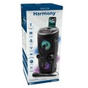 SQUEAK GŁOŚNIK KARAOKE HARMONY BLUETOOTH 5.0, RADIO FM, MICROSD, AUX, USB SQ1004 SQUEAK