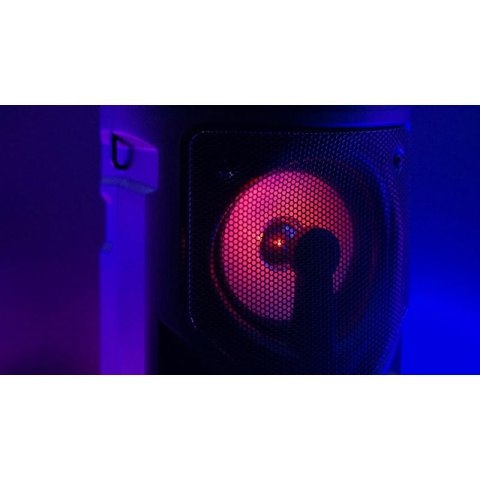 SQUEAK GŁOŚNIK KARAOKE HARMONY BLUETOOTH 5.0, RADIO FM, MICROSD, AUX, USB SQ1004 SQUEAK