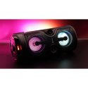 SQUEAK GŁOŚNIK KARAOKE HARMONY BLUETOOTH 5.0, RADIO FM, MICROSD, AUX, USB SQ1004 SQUEAK