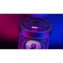SQUEAK GŁOŚNIK KARAOKE HARMONY BLUETOOTH 5.0, RADIO FM, MICROSD, AUX, USB SQ1004 SQUEAK
