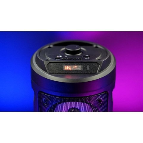 SQUEAK GŁOŚNIK KARAOKE HARMONY BLUETOOTH 5.0, RADIO FM, MICROSD, AUX, USB SQ1004 SQUEAK