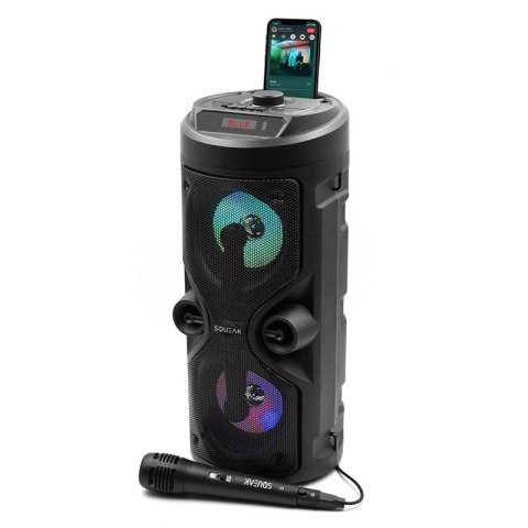SQUEAK GŁOŚNIK KARAOKE HARMONY BLUETOOTH 5.0, RADIO FM, MICROSD, AUX, USB SQ1004 SQUEAK