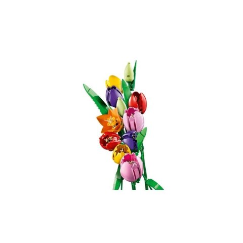 LEGO Botanical 11501 Bukiet tulipanów Lego
