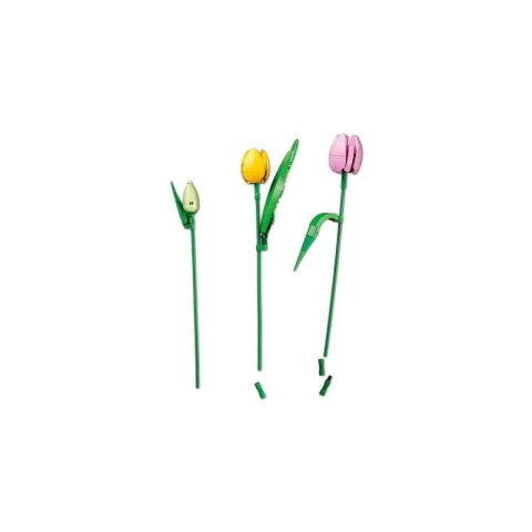 LEGO Botanical 11501 Bukiet tulipanów Lego
