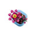 LEGO Botanical 11509 Kwitnący kaktus w doniczce Lego