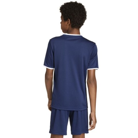 Koszulka adidas Entrada 26 JSY JZ2522 Adidas