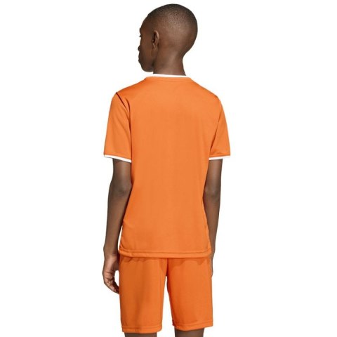 Koszulka adidas Entrada 26 JSY JZ2526 Adidas
