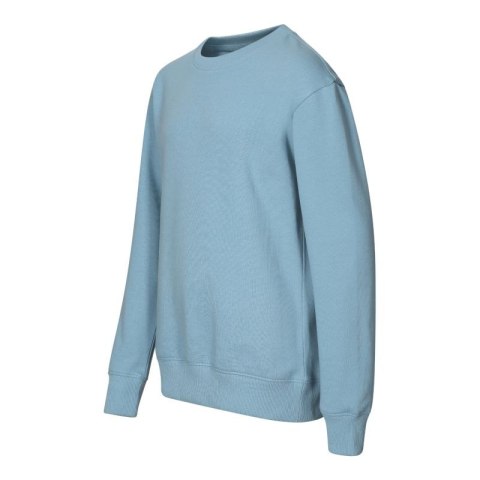 Bluza dziecięca Crew (błękitny) Malfini