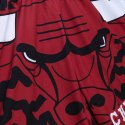 Spodenki Mitchell & Ness NBA Chicago Bulls Jumbotron 2.0 Sublimated Mitchell & Ness