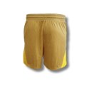 Spodenki Nike Isofly Shorts Wmns - DH7363-252 Nike