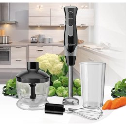 Blender zestaw 500W MR-566 MAESTRO MAESTRO