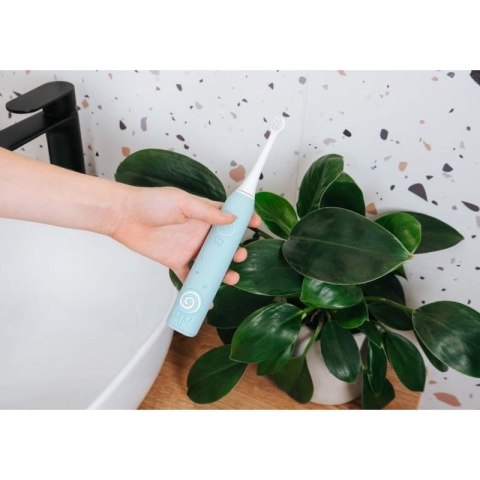 Szczoteczka soniczna niebieska ZK6020 CONCEPT CONCEPT