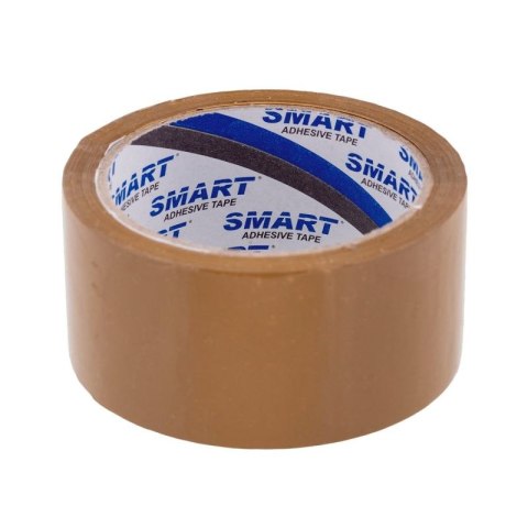 BSTech Taśma Pakowa HotMelt 48*60m szara karton 36szt BESTPAK