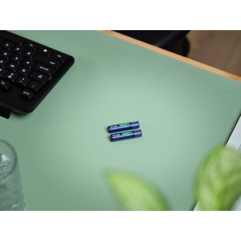 Baterie AAA Trust USB-C RECHARGEABLE BATTERIES 2P Trust
