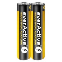 Zestaw baterii alkaliczne everActive EVLR03S2IK (40) EverActive