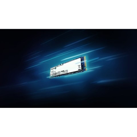 Kingston DYSK SSD 1000G NV3 M.2 2280 PCIe 4.0 NVMe Kingston