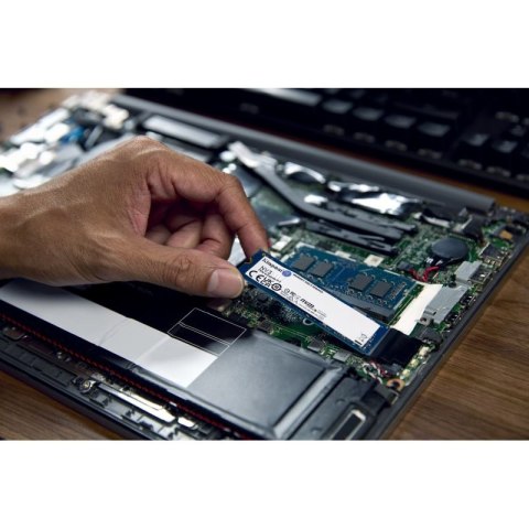 Kingston DYSK SSD 2000G NV3 M.2 2280 PCIe 4.0 NVMe Kingston