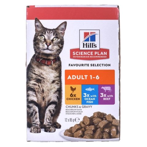 HILL'S Feline Adult Multipack Classic - saszetka 12x85g Hill's
