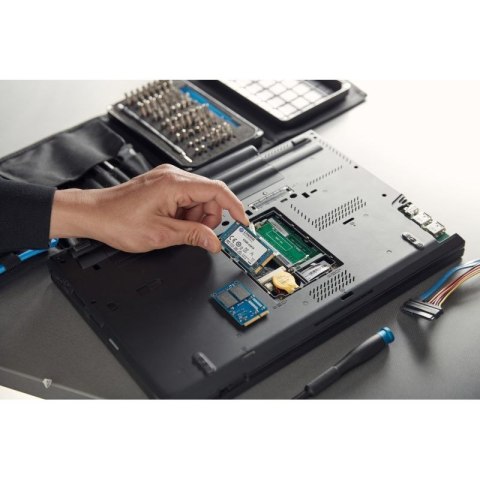 KINGSTON DYSK SSD SKC600MS/256G KC600 SATA3 Kingston