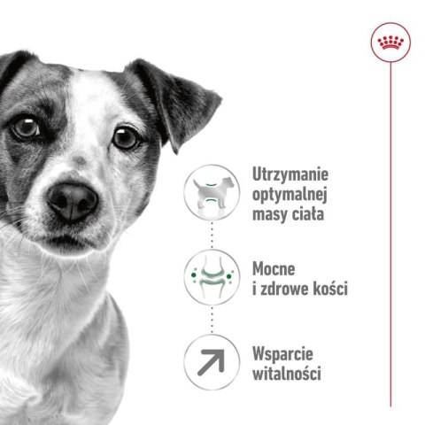 ROYAL CANIN Mini Mature 0,8kg Royal Canin