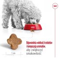 ROYAL CANIN Mini Mature 0,8kg Royal Canin