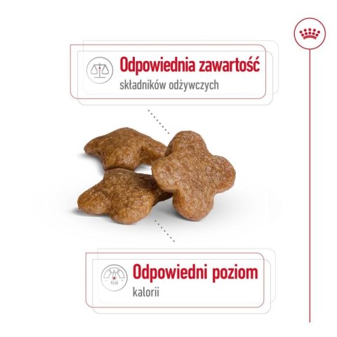 ROYAL CANIN Mini Mature 0,8kg Royal Canin