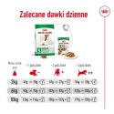 ROYAL CANIN Mini Mature 0,8kg Royal Canin