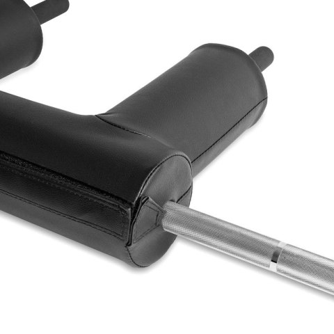 Tiguar safety squat bar Tiguar