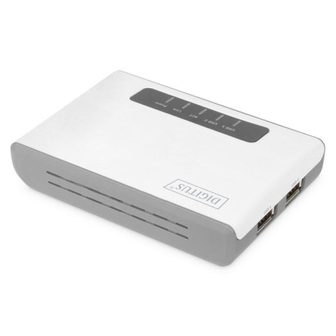 DIGITUS SERWER SIECIOWY WIELOFUNKCYJNY, BEZPRZEWODOWY 2-PORTOWY, USB 2.0, 300MBPS DN-13024 DIGITUS