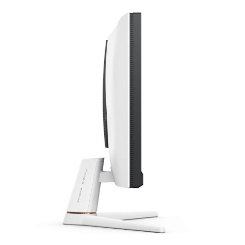 MONITOR BENQ MOBIUZ LED 24,5" EX251 220Hz BenQ