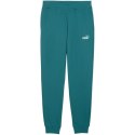 Spodnie męskie Puma Ess 2 Color No.1 Logo zielone 684714 41 Puma