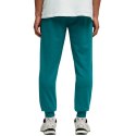 Spodnie męskie Puma Ess 2 Color No.1 Logo zielone 684714 41 Puma